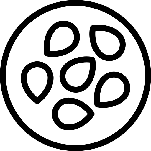 N - SESAMSAMEN